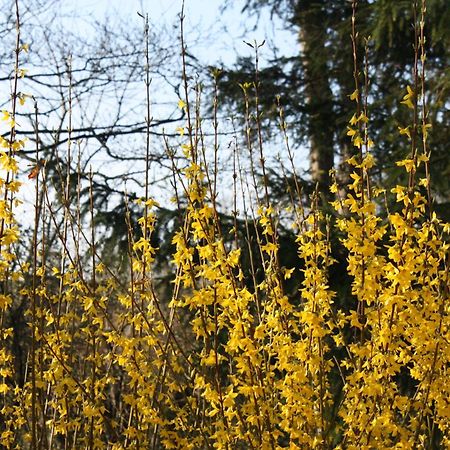 Rohrabrunn Zantnhof 아파트 외부 사진