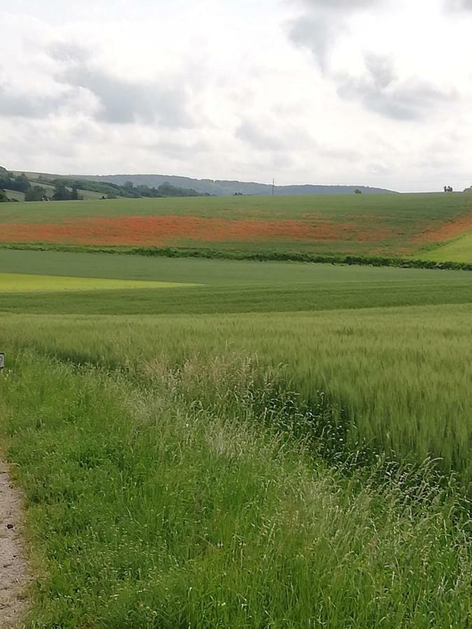 Rohrabrunn Zantnhof 아파트 외부 사진